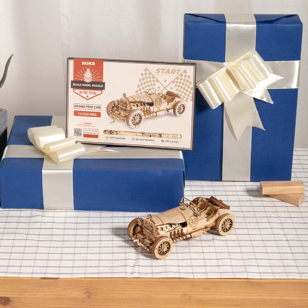 ROKR Grand Prix Car Scale Model 3D